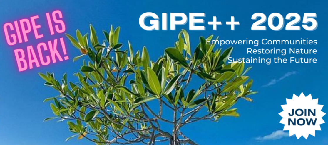 GIPE 2025